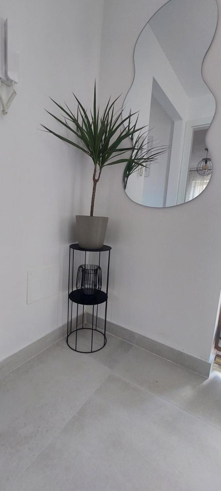 Apartment Olive Kaštela Exteriör bild